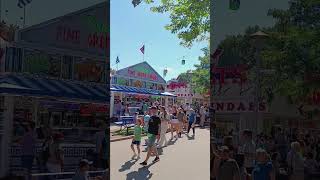 MN State Fair Views  Nelson St mnstatefair [upl. by Nirel]