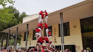 Castellers de Barcelona 3 de 7  Diada del Local de Castelldefels 2024 [upl. by Messab]