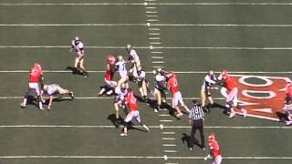 Wofford Offense v Clemson 2011 [upl. by Eldreeda]