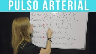 PULSO ARTERIAL ¡Todo lo que tienes que saber  Mentes Médicas [upl. by Filia667]