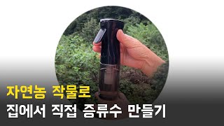 직접 재배한 식물로 증류수 만들기  집에서 하이드로졸 만들기 [upl. by Cowey379]