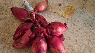 CIPOLLE ROSSE di TROPEA in padella  Ricetta economica facile e veloce  Red ONION RECIPE 🧅 [upl. by Georgena]