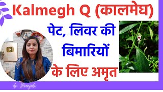 kalmegh ke fayde  kalmegh q homeopathic medicine benefits  kalmegh q ke fayde in hindi [upl. by Rimaj]