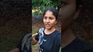 தேனி வளர்ப்பு பயிற்சி வகுப்பு  honey bee farming training  future nature [upl. by Candi462]