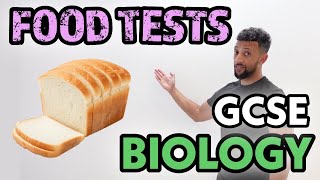 GCSE Biology  Food Test Rap [upl. by Illek]