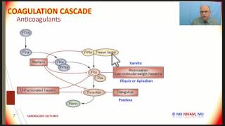 COAGULATION CASCADE AND ANTICOAGULANTS BY NIK NIKAM MD [upl. by Lienhard]