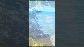 Lake Huron Caseville Michigan shorts lakehuron nature music bencaruso caseville [upl. by Theurich]