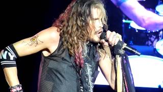 Crying  Aerosmith live in Milan on June 25 2014 [upl. by Jourdain]