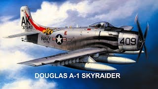 EASY BUILD MINI RC DOUGLAS SKYRAIDERFREE PLANS [upl. by Ys]