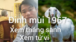 xem tháng sanh tuổi đinh mùi 1967xemtuvihieutubi3546 [upl. by Kitarp]