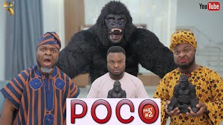 AFRICAN HOME POCO THE GORILLA PART 2 [upl. by Almeta]