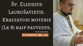 Pamokslas šv Eliziejaus gyvenimas ir kraujoplūdžiu sirgusios moters įkvepiantis pavyzdys Lk 8 [upl. by Letisha214]