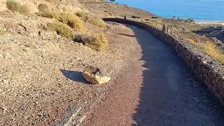 Alua village Fuerteventura part 2 accommodation to beach in real time [upl. by Holbrook]