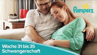 Schwangerschaftswoche 31 bis 35  Vorbereitungen zur Geburt  Pampers [upl. by Leal]