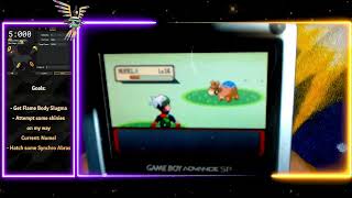 Shiny Numel manip live  liqquify on Twitch [upl. by Reprah]