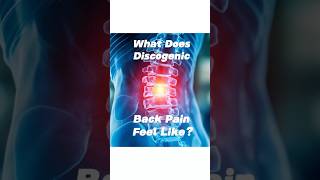 What Does Discogenic Back Pain Feel Like [upl. by Ursala]