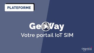 GetWay votre portail IoT SIM [upl. by Pejsach]