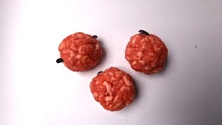 Flesh Eating Beetles VS Meatballs Timelapse [upl. by Allina]