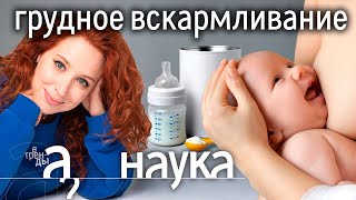 Нам врут про молочные смеси Чем уникально грудное молоко Научные исследования [upl. by Cesare]