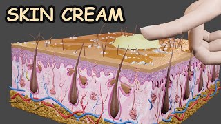 Skin Protective Cream  How it Works  3D CGI Animation 2024 [upl. by Lussier252]