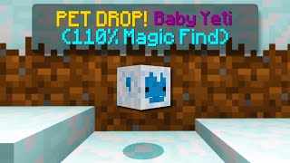 I FINALLY GOT THIS RARE PET 20M hypixel skyblock no contraband [upl. by Aratahc913]