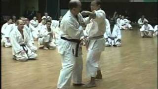 Kumite seminar by Soke Kubota 1997  Legendary Budo Masters [upl. by Nuahc69]