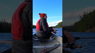 The best spinners for splake fishing girlswhofish girlpower canoeing ontario trout fish [upl. by Murage235]