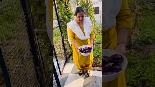 Kitchen garden mein Hari Bari sabji ready ￼ [upl. by Ahselef]