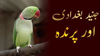 Junaid Baghdadi ka waqiaislamic story ۔ ۔جنید بغدادی کا واقعہ [upl. by Chubb]