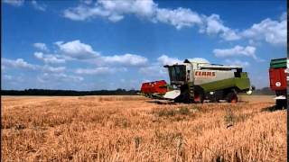 Claas Lexion 420 au blé en 2014 [upl. by Letta]