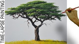 How to Paint Realistic Acacia Tree  Acrylic Painting Tutorial in Time lapse [upl. by Suiraj339]