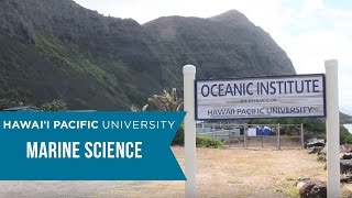 Hawaii Pacific University Marine Science Program [upl. by Abramo]