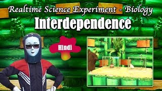 Interdependence  Real Time Science Experiments  Hindi [upl. by Boehmer]