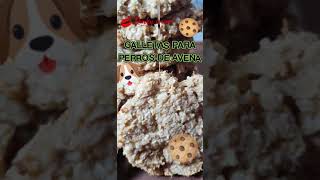 GALLETAS NATURALES DE AVENA PARA PERROS Facilísimas [upl. by Nosittam]