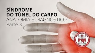 Síndrome do Túnel do Carpo  Anatomia e Diagnóstico  Parte 3  Dr Diogo [upl. by Enajyram]