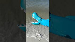 Sharky was Hungry 🦈 beach seaanimals shark [upl. by Sabanrab]