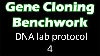 Remote teaching DNA lab Yeast overnight culture for DNA extraction and PCR [upl. by Aynwat]