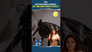 The Astonishing Science of The Butterfly Effect butterfly science opportunity weather effect [upl. by Pet]