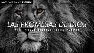 Las Promesas de Dios  Versiculos Biblicos Para Dormir [upl. by Lagiba42]