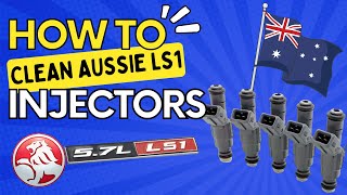 How to Clean and Service Bosch LS1 VT VX VU VY VZ V8 Holden Commodore Fuel Injectors [upl. by Gnohp]