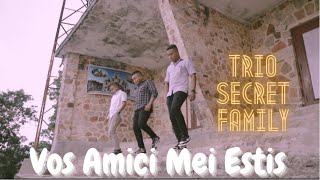 VOS AMICI MEI ESTIS Lagu Rohani  Trio Secret Family [upl. by Ztnarf]