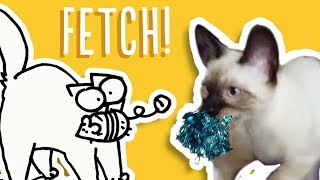 Cats That Play Fetch  Simons Cat Snaps  FAN VIDEOS [upl. by Yokoyama]