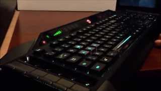 Mad Catz Cyborg V7 Keyboard Review [upl. by Riorsson]