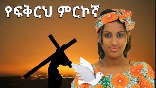 zerfe kebede cover mezmur የፍቅርህ ምርኮኛ [upl. by Niknar242]