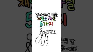 강아지에 대한 재밌는 사실 5가지 강아지 공감 반려견 [upl. by Corneille]