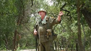 Vietnam Reenactment Texas Military Forces Museum Camp Mabry 28MAY2023 [upl. by Enohpets705]