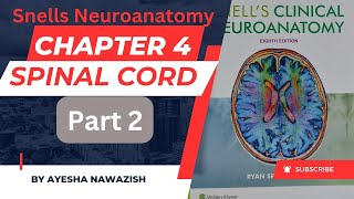 Snells Neuroanatomy Chapter 4  Spinal cord  part 2 by Ayesha Nawazish [upl. by Ihcur]