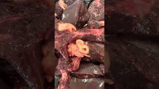 Fasciola hepática en canalículos biliares 🐮 medicinaveterinaria veterinaria [upl. by Garey]