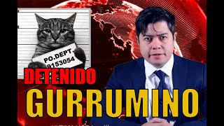 Banda de Gurrumino detenida  Mascoticero con Oscar Cisneros [upl. by Cesya]