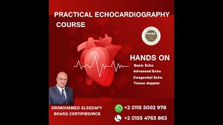 الجمعيهالمصريهللموجاتالصوتيهعلىالقلب cardiology دكتور محمد الصدفى medical courses [upl. by Anitsrik219]